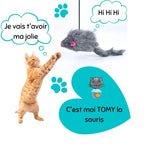 Tomy™️ La Souris Volante | Chat - les mistigris