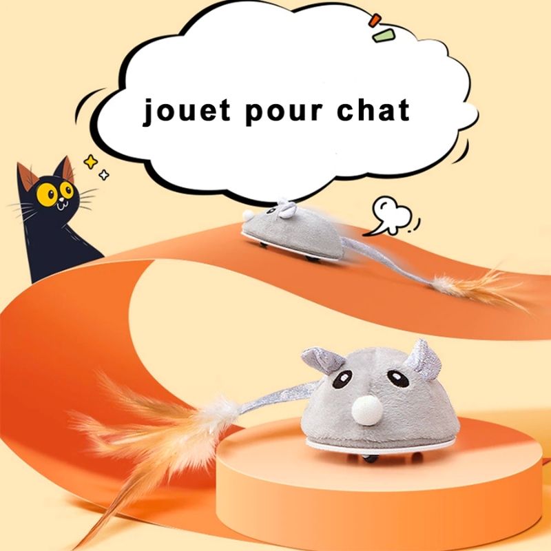 MYCreator Souris réaliste télécommandée pour chat - Jouet interactif pour  chat - Roue sans fil - Blague effrayante - Bugs pour chat - Jouet amusant  pour chat - Gris : : Animalerie