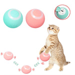 Balle pour Chat