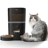 Distributeur de croquettes pour chat automatique double