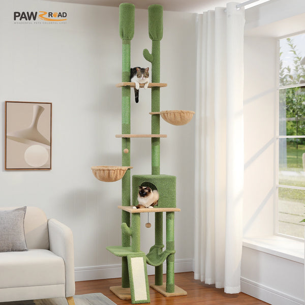 Arbre a chat cactus