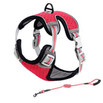 Cat Full Body Harness - Red / XS - cat harness leash