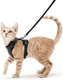 Cat Harness and Leash - Black / XS - cat harness leash
