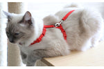 Harnais chat collier