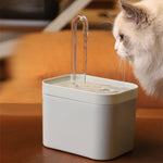 Fontaine a eau chat design