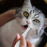 Brosse à dents pour chat