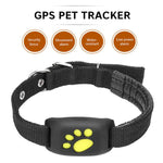 Colliers GPS pour chat